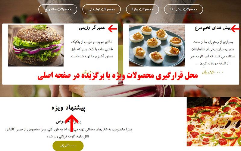 محصولات ویژه محصولات ویژه